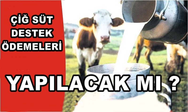 Çiğ Süt Destekleri Yatırılacak Mı ?