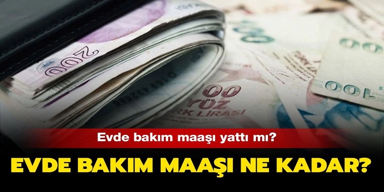 14 Şubat 2021 Evde Bakım Maaşı Yatan İller Listesi