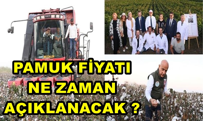 BAKAN KİRİŞÇİ PAMUK HASADINA KATILDI