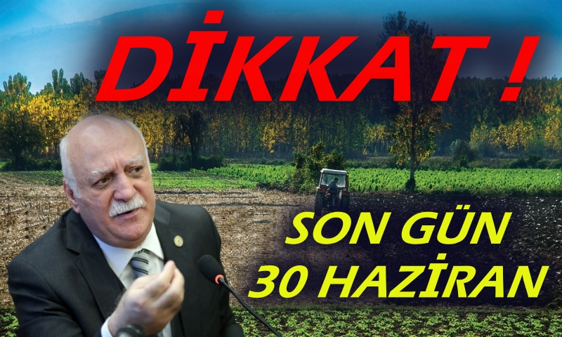 SON GÜN 30 HAZİRAN !