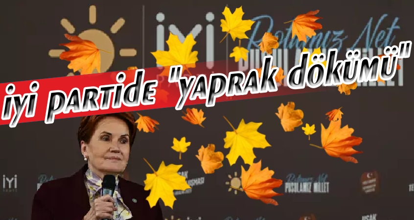 YAPRAK DÖKÜMÜ !