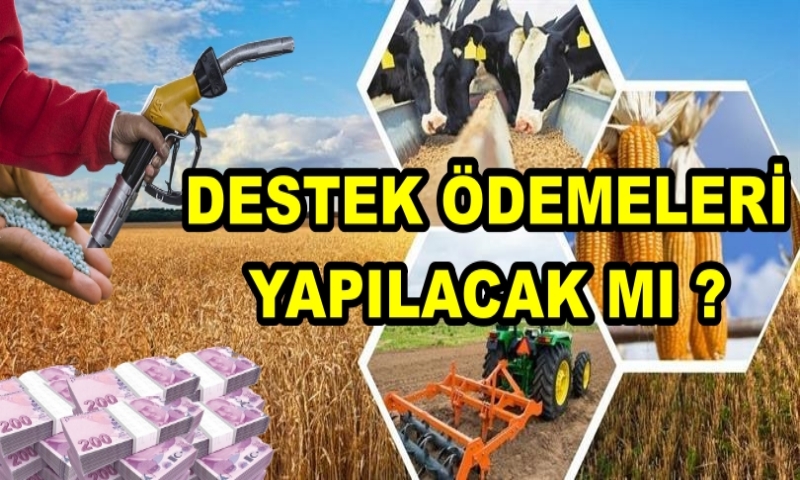 BUGÜN HANGİ DESTEKLER ÖDENECEK ?