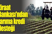 100 BİN LİRA FAİZSİZ KREDİ