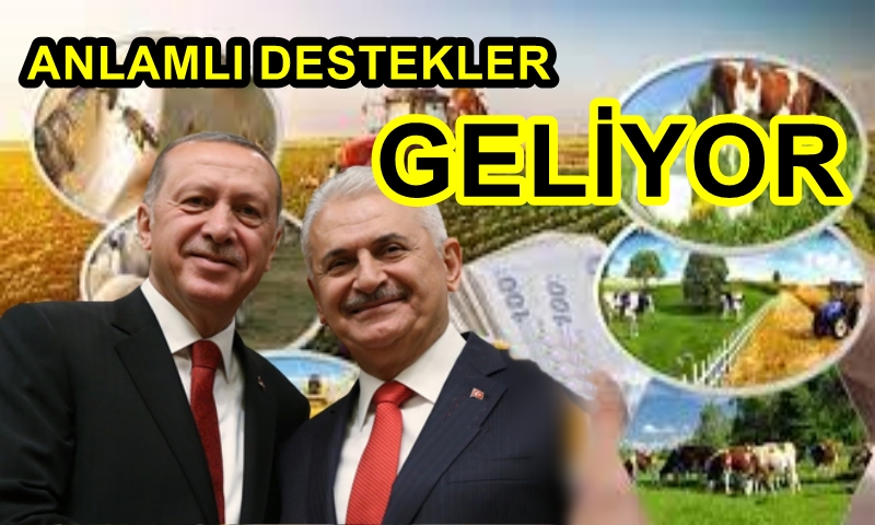 BİNALİ YILDIRIM : 2023 DESTEKLER YILI OLACAK