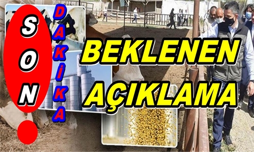 BAKAN BEKİR PAKDEMİRLİ'DEN YEM FİYATLARINA İLİŞKİN AÇIKLAMA...