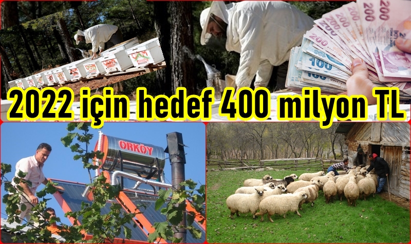 Orman Köylüsüne 354 Milyon TL Destek