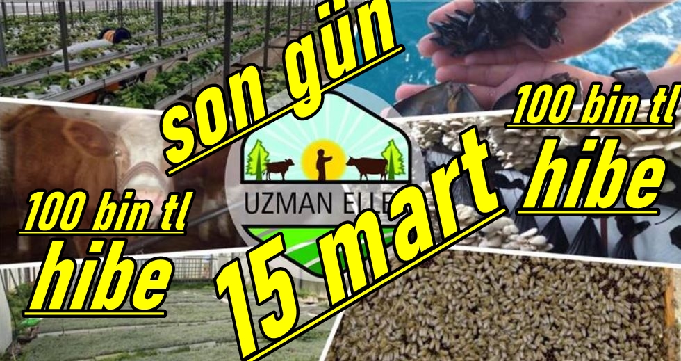 100 TL HİBE İÇİN SON BAŞVURU TARİHİ 15 MART