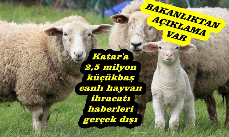 BAKANLIK YOK ÖYLE BİR İHRACAT DEDİ...