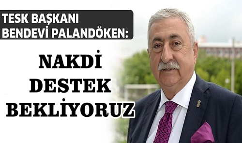 TESK'DEN NAKDİ DESTEK ÇAĞRISI ...