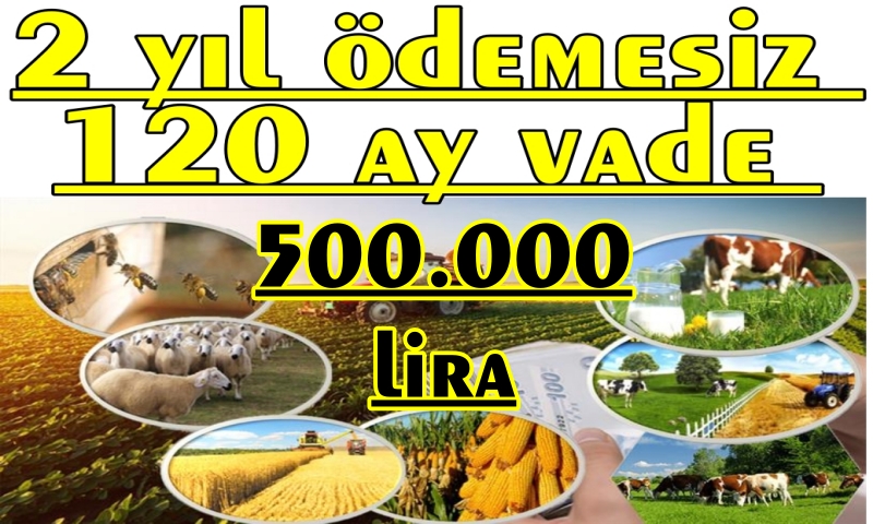 BAŞVURULAR 31 ARALIK 2022 SAAT 17,00'YE  KADAR