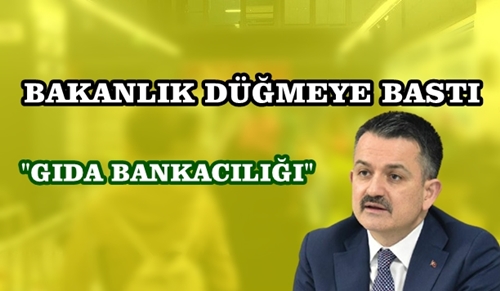 GIDA BANKACILIĞINI KURULUYOR