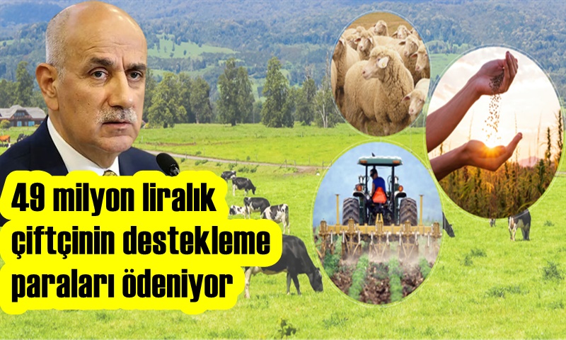 DESTEKLEME ÖDEMELERİ HESAPLARA YATIRILIYOR !