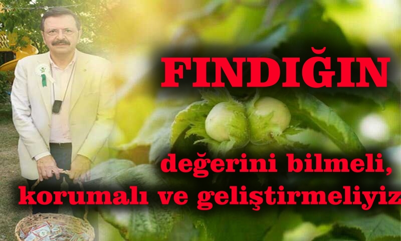 FINDIKTA ÜRETİM ZENGİNİ,GELİR FAKİRİYİZ