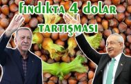 FINDIKTA FİYAT TARTIŞMASI !