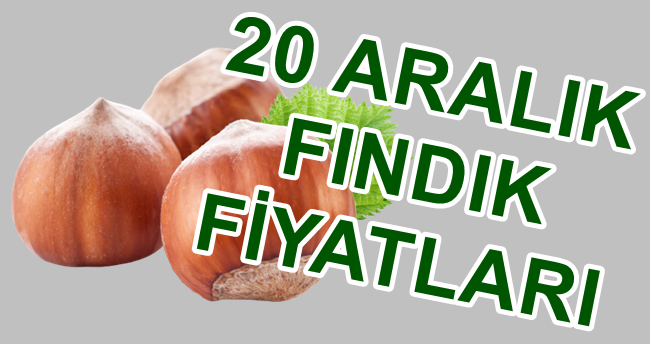 20 ARALIK FINDIK FİYATLARI