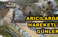 Arıcılar Göç İçin Hazırlıklara Başladı...