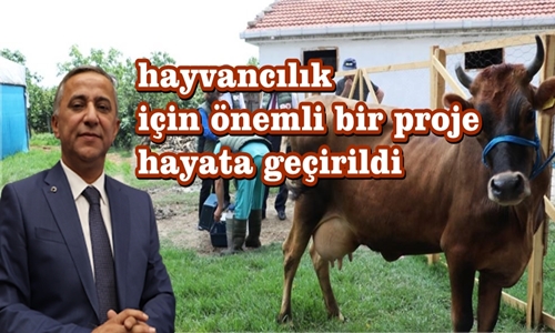 SAMSUN'DA ÖRNEK PROJE ...