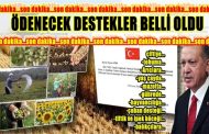 ÇİFTÇİLERE ÖDENECEK TARIMSAL DESTEKLER BELLİ OLDU