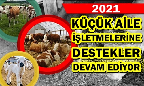 Küçük Aile İşletmelerine Destek ler  2021'de Devam Ediyor