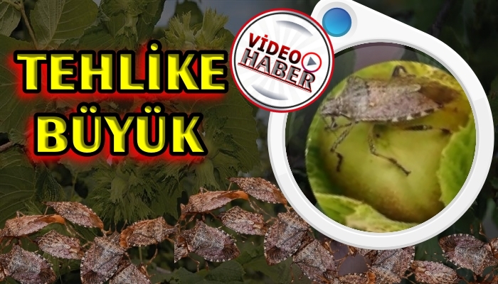 TEHLİKE BÜYÜK